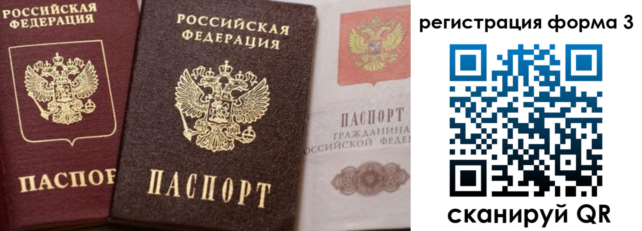 пропишу в квартире в Городце